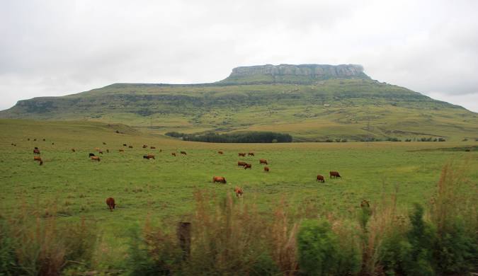  Bedroom Property for Sale in Harrismith Rural Free State